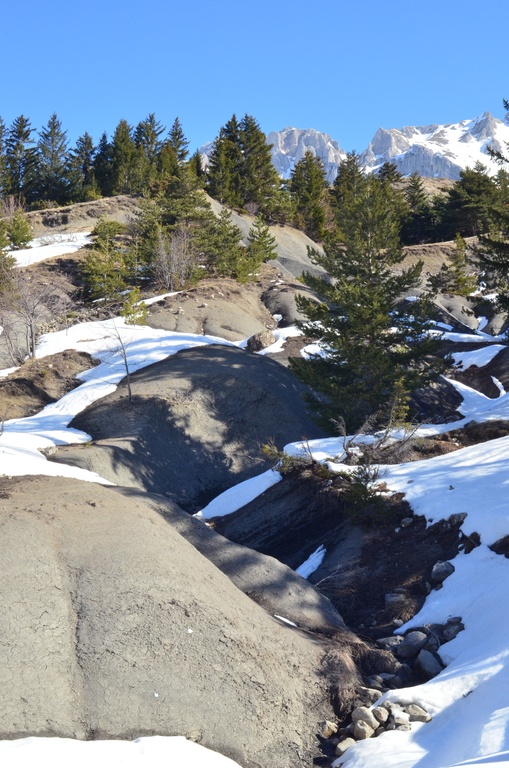 2014-03-14 Dévoluy/DSC_0137.JPG